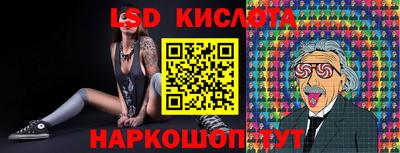 крисы Малгобек