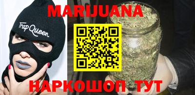крисы Малгобек