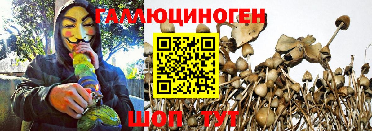 Псилоцибиновые грибы прущие грибы Фрязино