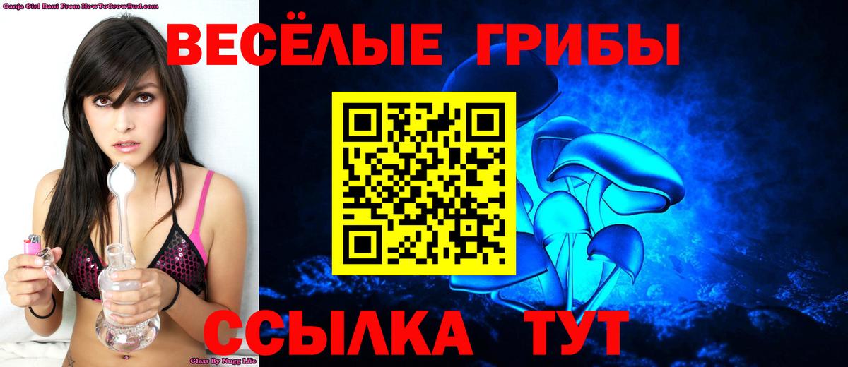 закладки  Галлюциногенные грибы Psilocybe  Вход с VPN  Фрязино 