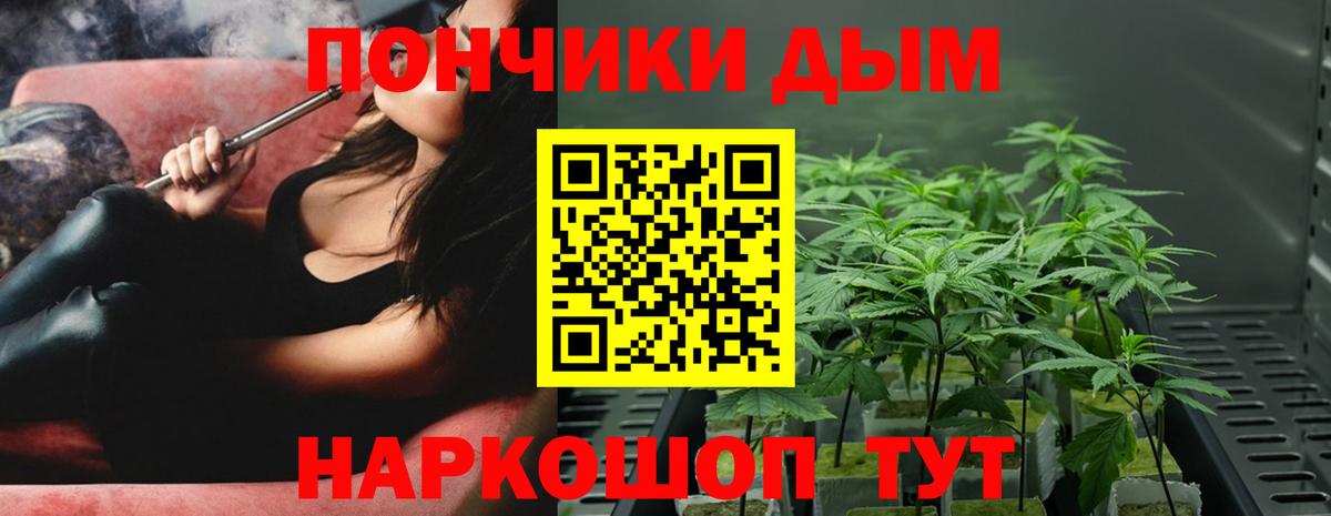 Конопля семена  Вход с VPN  Конопля сатива  Фрязино  Марихуана SATIVA & INDICA 